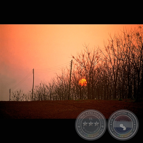 ATARDECER - Fotografía de Fernando Allen